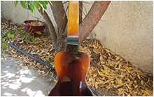 Two Tone Sunburst